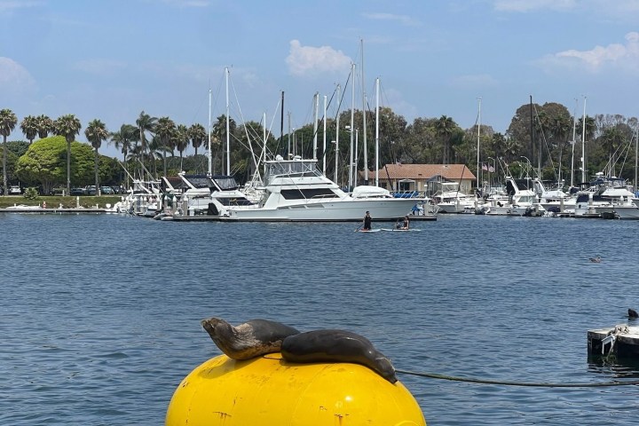 a small boat in a body of water