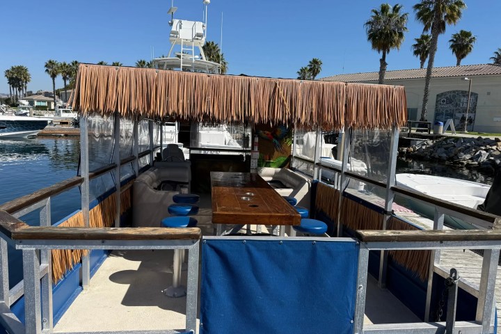 Small open-air boat with a thatched canopy and bar seating, docked by palm trees.