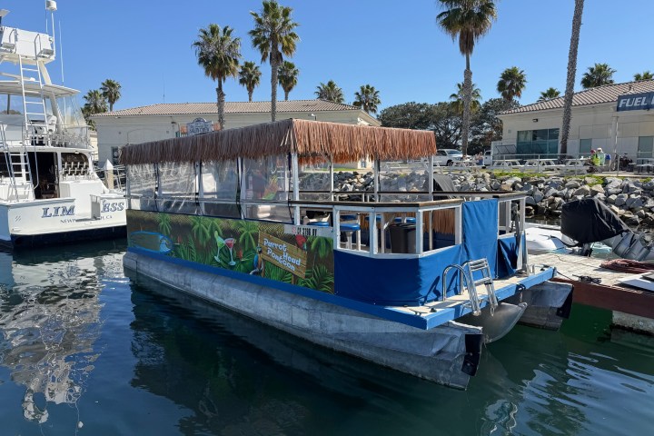 Tropical-themed boat docked near palm trees on a sunny day.