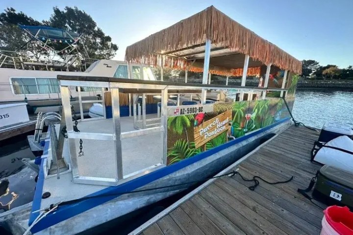 Colorful pontoon boat with tiki roof docked at a marina.